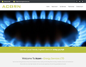 Acorn Energy Services